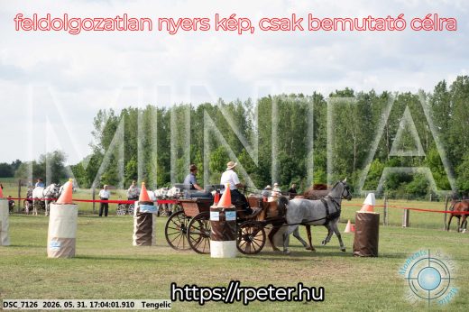 Mintakép 20260531-312