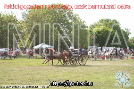 Mintakép 20260531-313