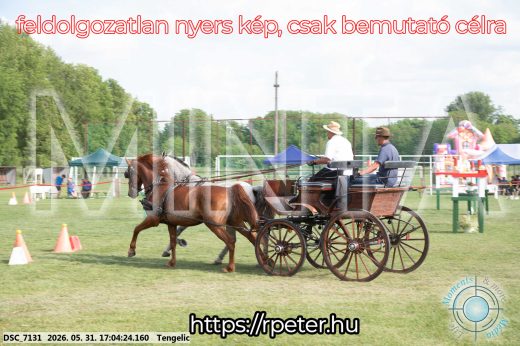 Mintakép 20260531-315