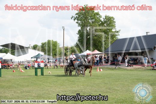 Mintakép 20260531-319
