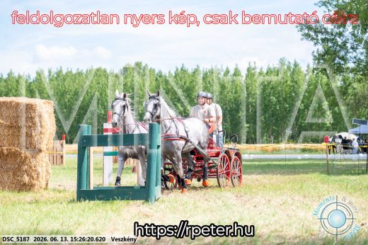 Mintakép 20260613-248