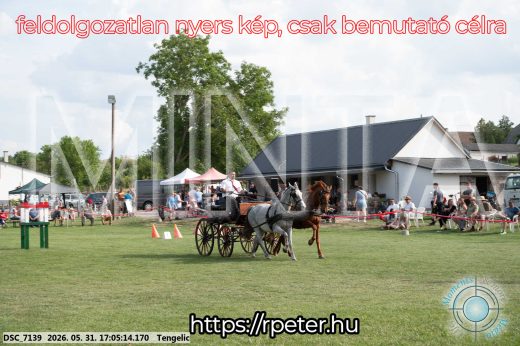 Mintakép 20260531-321