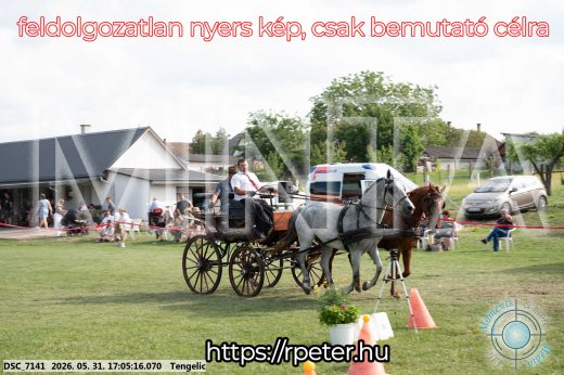 Mintakép 20260531-323
