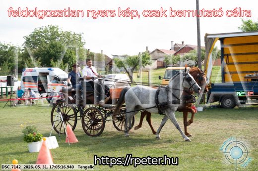 Mintakép 20260531-324