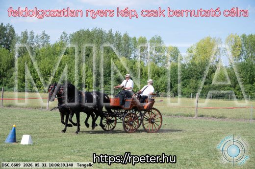 Mintakép 20260531-329
