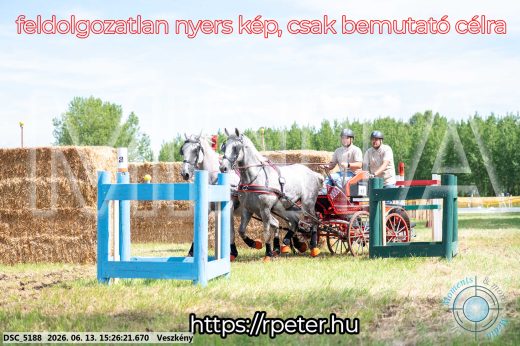 Mintakép 20260613-249