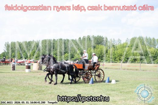 Mintakép 20260531-331
