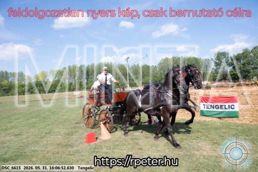 Mintakép 20260531-334