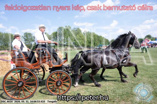 Mintakép 20260531-335