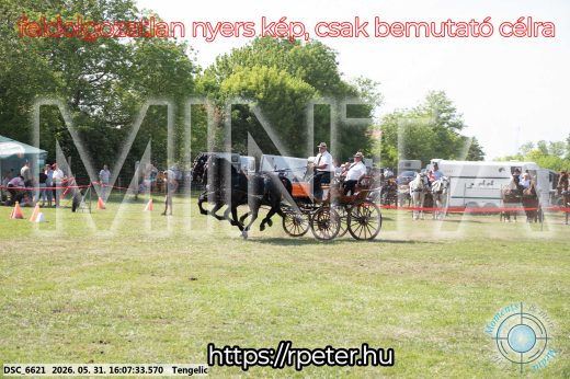 Mintakép 20260531-338