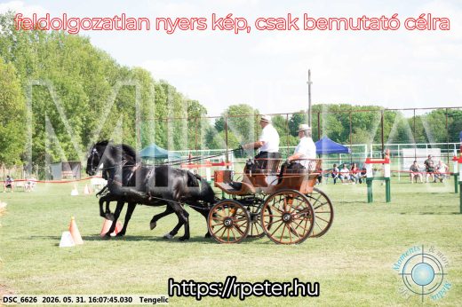 Mintakép 20260531-339