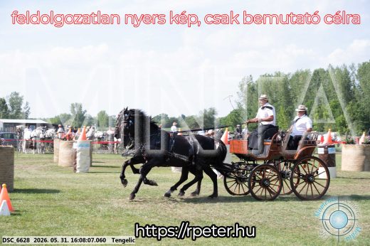 Mintakép 20260531-341