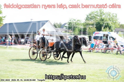 Mintakép 20260531-344