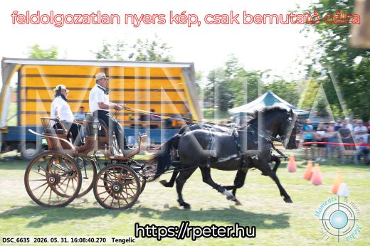 Mintakép 20260531-347