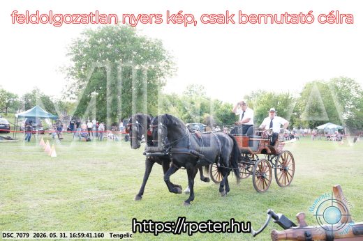 Mintakép 20260531-350