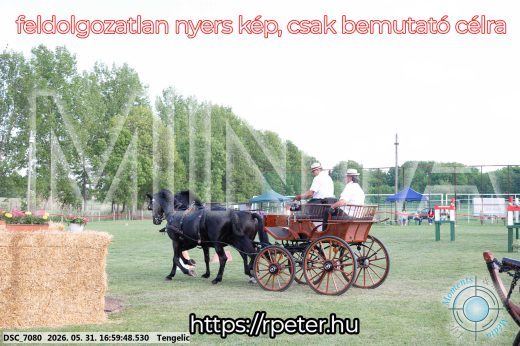 Mintakép 20260531-351
