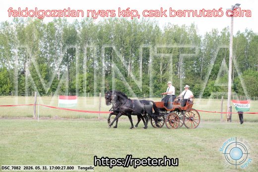 Mintakép 20260531-353