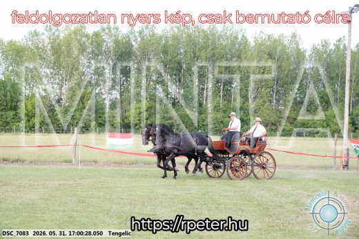 Mintakép 20260531-354
