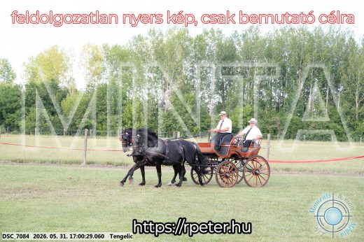 Mintakép 20260531-355