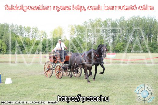 Mintakép 20260531-359