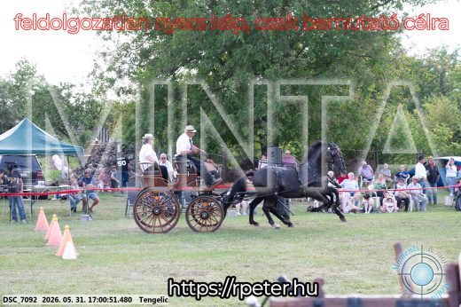 Mintakép 20260531-363