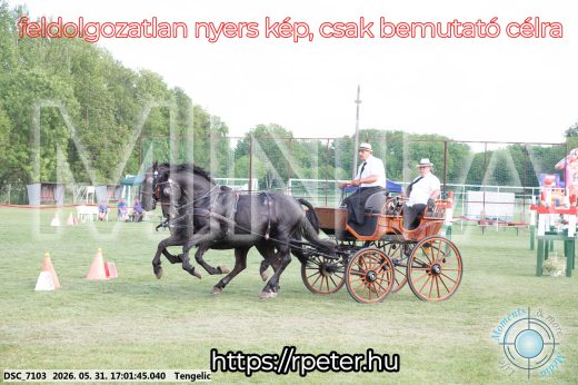 Mintakép 20260531-370