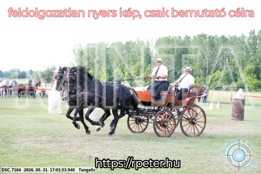 Mintakép 20260531-371