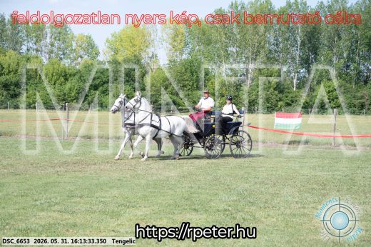 20260531-161333-DSC_6653.jpg