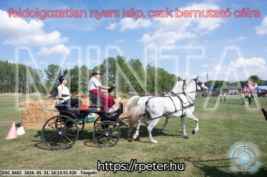 Mintakép 20260531-384