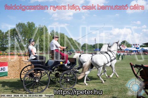 Mintakép 20260531-385