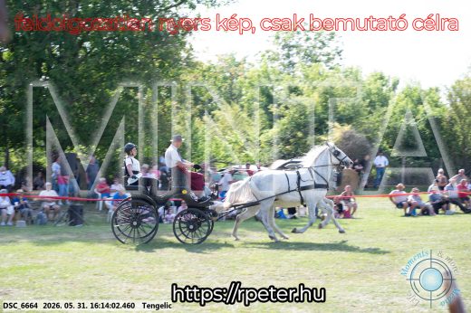 Mintakép 20260531-386