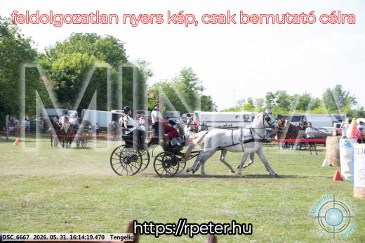 Mintakép 20260531-389