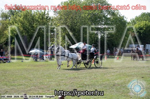 Mintakép 20260531-390