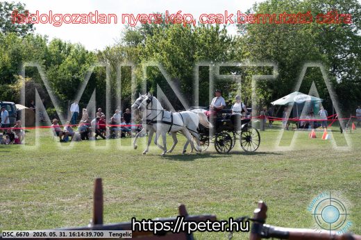 Mintakép 20260531-392