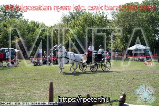 Mintakép 20260531-393