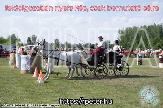 Mintakép 20260531-399