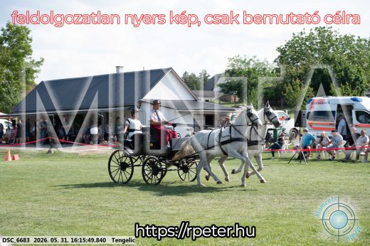 Mintakép 20260531-404