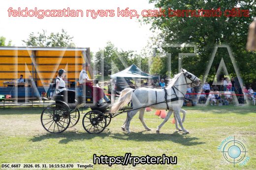 Mintakép 20260531-407