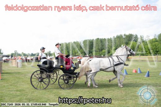 Mintakép 20260531-409