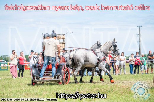 Mintakép 20260613-257