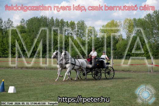 Mintakép 20260531-412