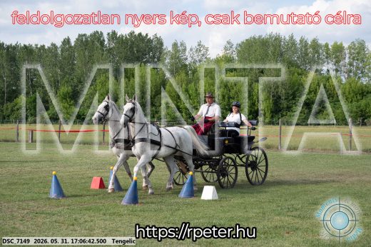 Mintakép 20260531-413