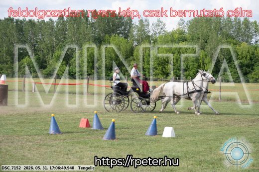 Mintakép 20260531-416
