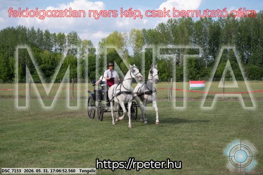 Mintakép 20260531-417