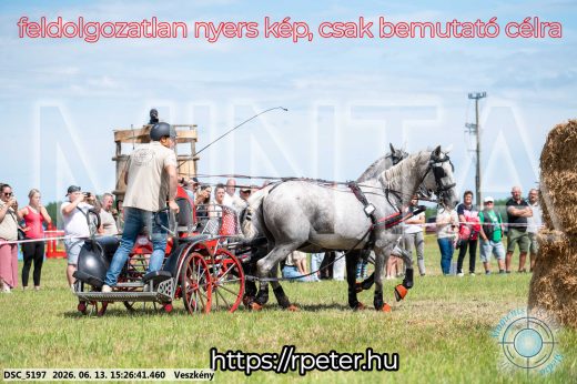 Mintakép 20260613-258