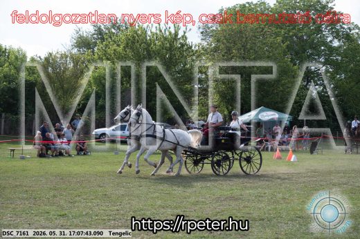 Mintakép 20260531-424