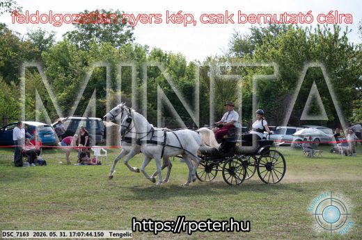 Mintakép 20260531-426