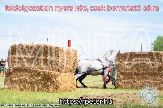 Mintakép 20260613-259