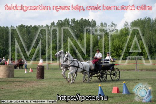Mintakép 20260531-432