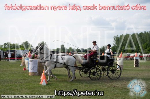 Mintakép 20260531-433